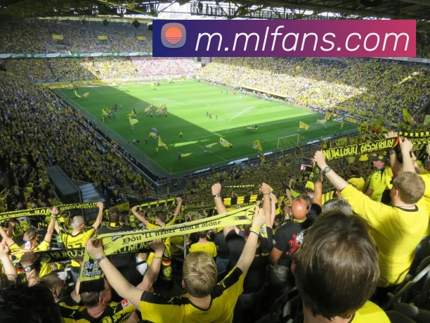 米兰milan官网APP 封面图